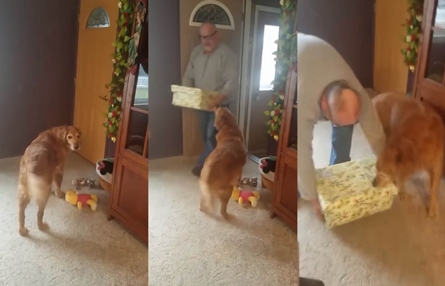 El can recibió con felicidad el contenido del obsequio.