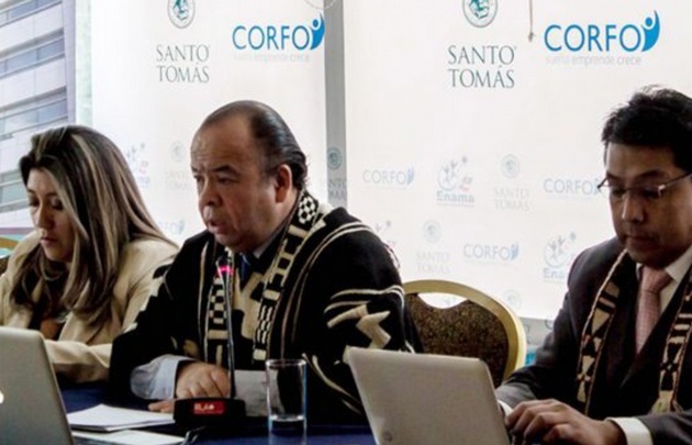 Hugo Alcaman, presidente de la Confederación de Profesionales Mapuches.