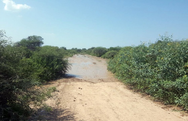 Chañares alto, acceso a Santa Victoria Este