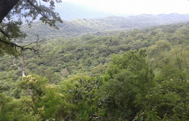 FOTO: Cadena 3 llegó a una reserva natural en plena selva jujeña