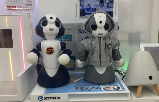 Ivanna Torres Riesco en Japón.