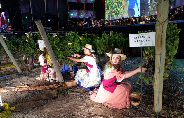 Las candidatas cosechan las uvas Malbec de los viñedos.