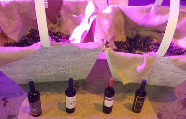 Los puestos de localidades mendocinas ofrecían productos típicos de la zona.