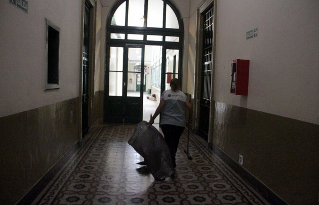 Murciélagos  muertos en el Colegio Carbó