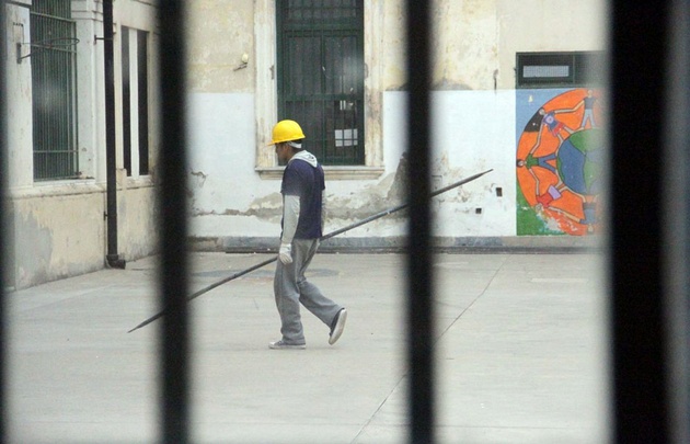 Murciélagos  muertos en el Colegio Carbó