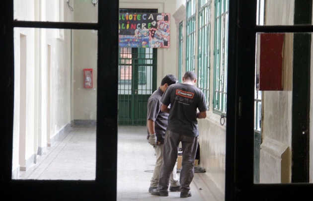 Murciélagos  muertos en el Colegio Carbó