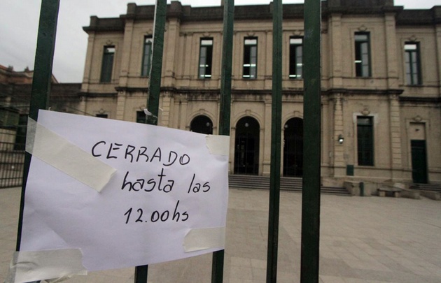 Murciélagos  muertos en el Colegio Carbó
