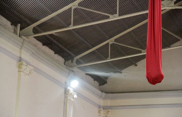 Murciélagos  muertos en el Colegio Carbó