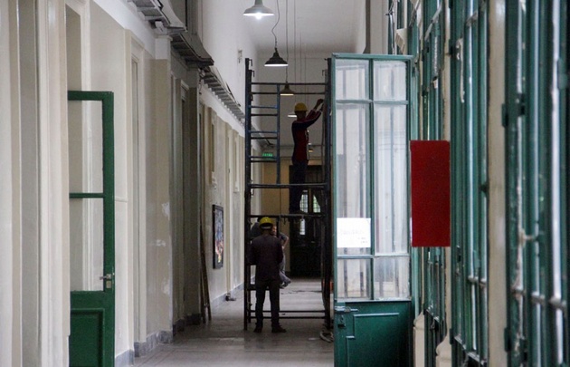 Murciélagos  muertos en el Colegio Carbó