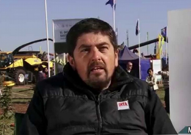 Dario Panichelli Fericerdo