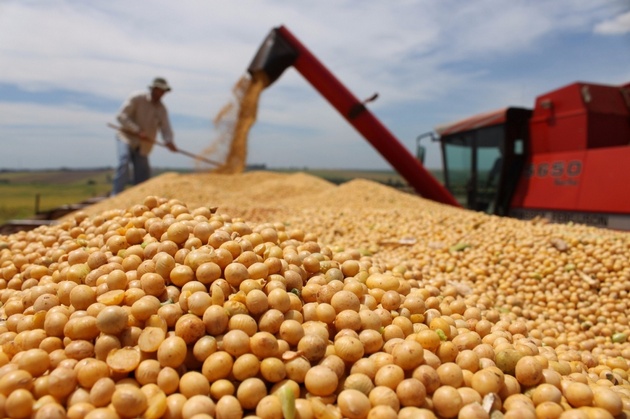 FOTO: “La cosecha no es un bien público”, dice economista