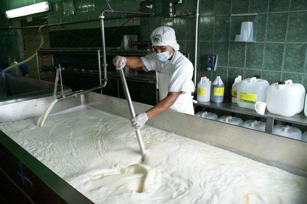 FOTO: Aumentaron un 9% las exportaciones lacteas