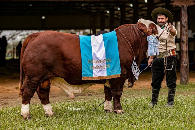 Gran Campeón Macho Expo Nacional 2019.