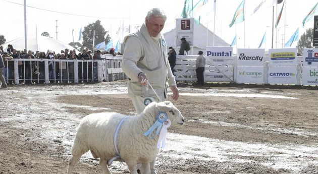 FOTO: Gerardo Colombano, presidente de la cámara de ovinos de la provincia de Córdoba