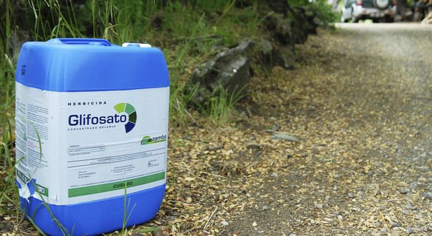 Las cadenas de cultivos promueven la sostenibilidad y el cuidado del medio ambiente