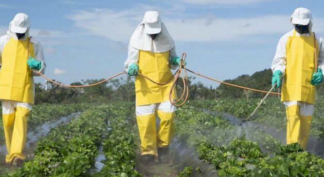 Dicha ley establece la prohibición en todo su territorio 