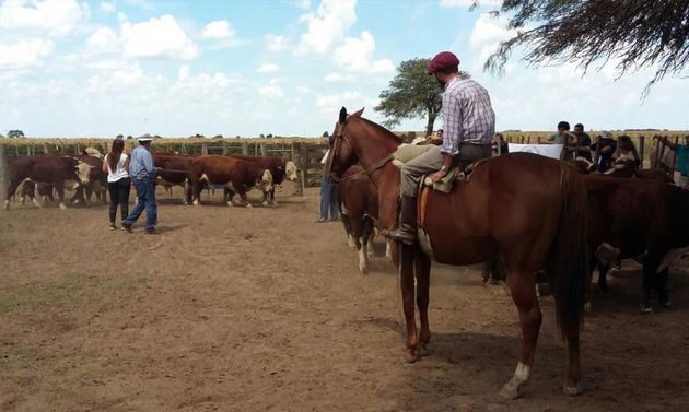 El trabajo conjunto con la universidad logra reproductores únicos en el mercado.