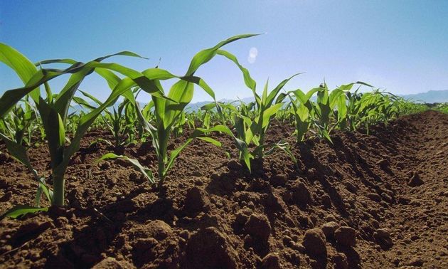 Más de 1.200.000 mil hectáreas están bajo la cobertura de consorcios de suelos.