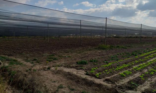 Entregaron $9 Millones para mallas antigranizo mediante el programa PRODERI.