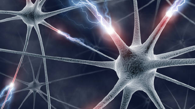 Una posibilidad quirúrgica para la epilepsia