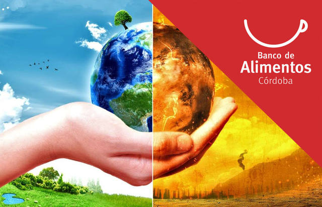 Cambio climático: qué podemos hacer