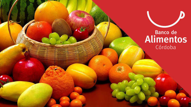 Una buena nutrición es fundamental para el organismo.