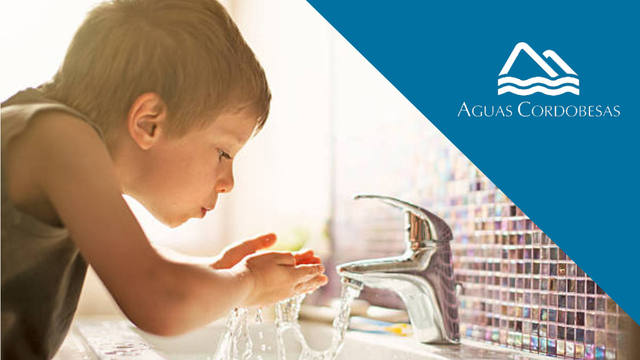 5 motivos para tomar agua de la canilla