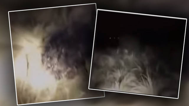 FOTO: Video: extrañas huellas quemadas y luces en campo cordobés