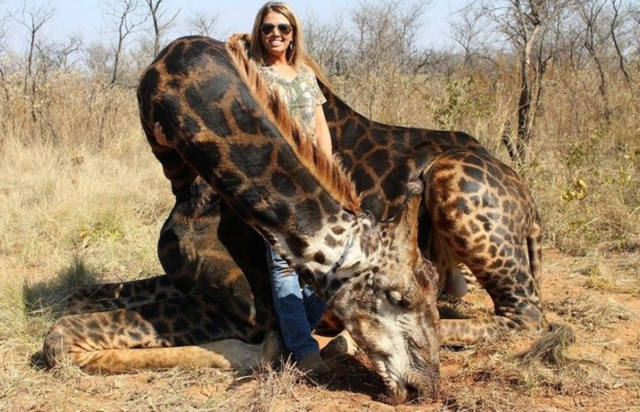 FOTO: Tess Thompson Talley y la jirafa que cazó.
