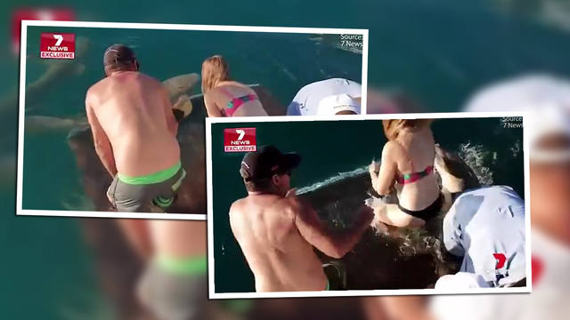 FOTO: Tiburón arrastró a una mujer que le quería dar de comer