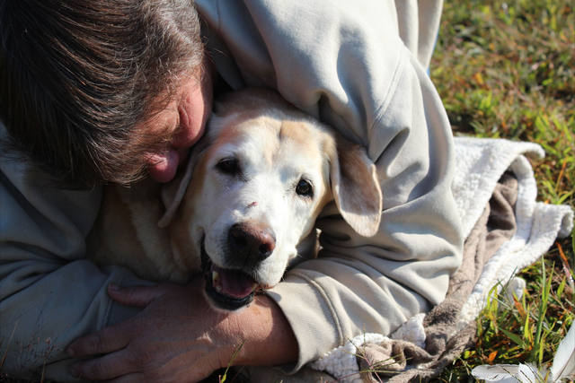 Descubren cuántos años de humano son un año de perro