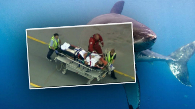AUDIO: Luchó contra un tiburón y sobrevivió