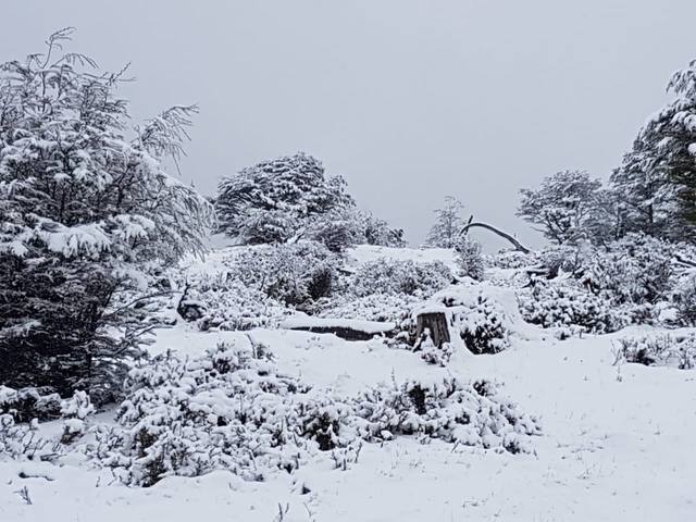 La nieve sorprendió a Ushuaia en plena primavera