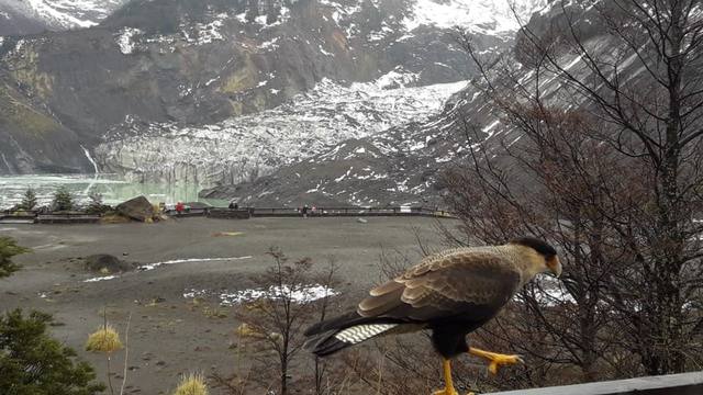 FOTO: De los 7 glaciares al Tronador, un imperdible en Bariloche