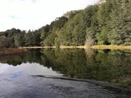De los 7 glaciares al Tronador, un imperdible en Bariloche