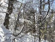 Aventura y paseo en raquetas por el Cerro Otto