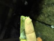 La ruta del azúcar, para saber más de esta industria