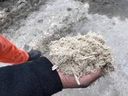 La ruta del azúcar, para saber más de esta industria