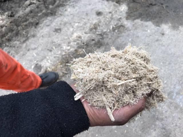 La ruta del azúcar, para saber más de esta industria