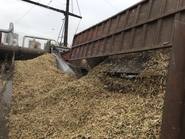 La ruta del azúcar, para saber más de esta industria