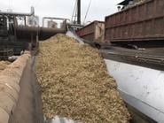 La ruta del azúcar, para saber más de esta industria