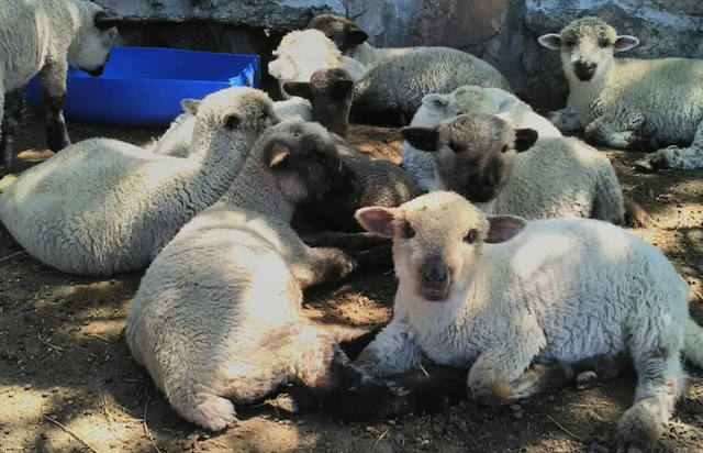 La Trompa del Elefante: un lugar escondido en Punilla