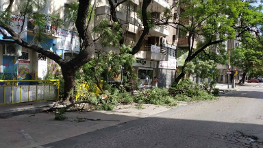 Garrido dijo que el temporal fue