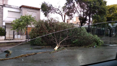 Claudio Vignetta habló sobre los destrozos en la provincia