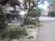 Árboles caídos y cortes de luz tras tormenta en Córdoba