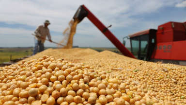AUDIO: Federación Agraria pide rever retenciones por baja de soja