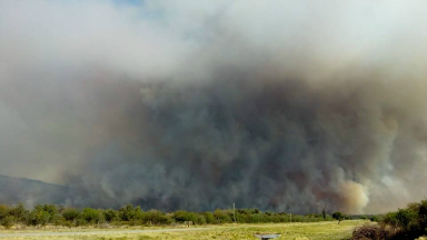 AUDIO: Un rayo produjo un voraz incendio en un paraje de San Luis