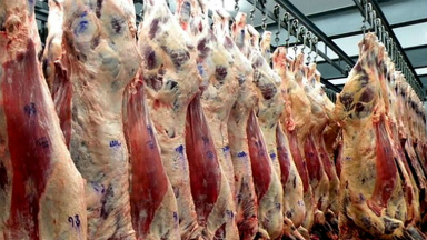 AUDIO: Arranca exportación de carne enfriada y con hueso a China