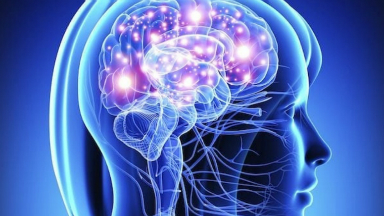 Epilepsia: respuestas simples a preguntas frecuentes