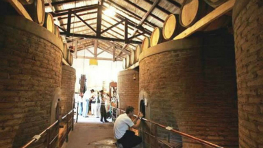 Mendoza tuvo una ocupación del 80% el fin de semana largo